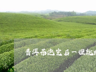 普洱茶泡完后一捏就烂/2023072120404