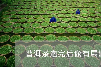 普洱茶泡完后像有层油/2023061513294