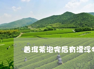 普洱茶泡完后有漂浮物/2023092730613