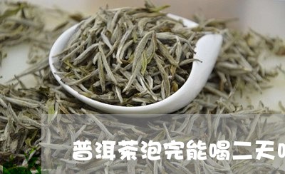 普洱茶泡完能喝二天吗/2023092641604