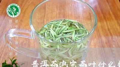 普洱茶泡完茶叶什么样/2023072325258