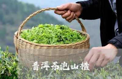 普洱茶泡山楂/2023042905177