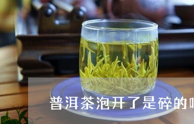 普洱茶泡开了是碎的吗/2023093075947