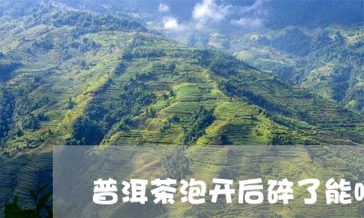 普洱茶泡开后碎了能喝吗/2023082573604