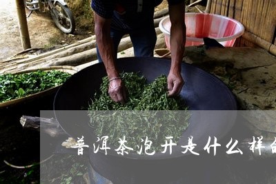 普洱茶泡开是什么样的/2023092841625