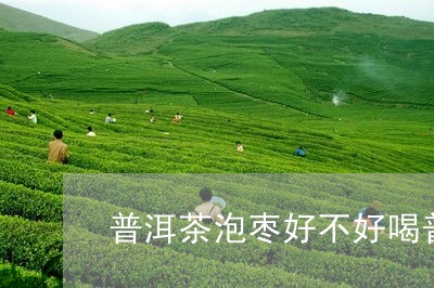 普洱茶泡枣好不好喝普洱茶能抗癌/2023060248829