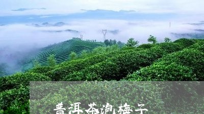 普洱茶泡梅子/2023042737524