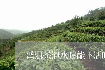 普洱茶泡水喝能下活吗/2023092926057