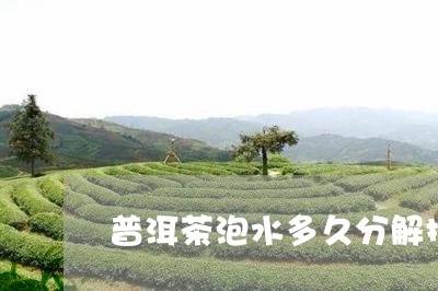 普洱茶泡水多久分解掉/2023061975948