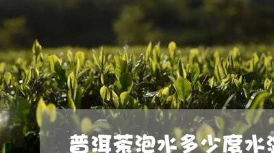 普洱茶泡水多少度水温合适/2023112561481