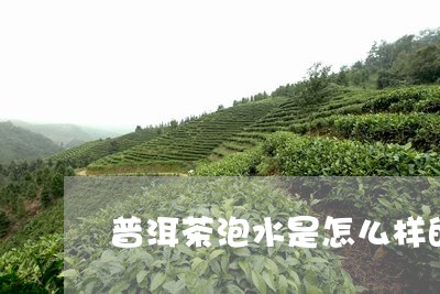 普洱茶泡水是怎么样的/2023092819694