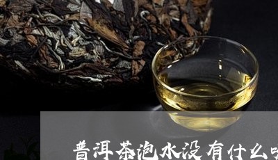 普洱茶泡水没有什么味道/2023122092626