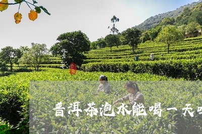 普洱茶泡水能喝一天吗/2023092509515