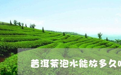 普洱茶泡水能放多久喝没有味道/2023121722936