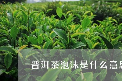 普洱茶泡沫是什么意思/2023062338302