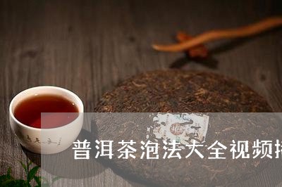 普洱茶泡法大全视频播放/2023110182726