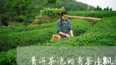 普洱茶泡的有茶渣飘着/2023073168479