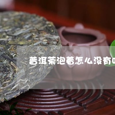 普洱茶泡着怎么没有叶/2023080102157