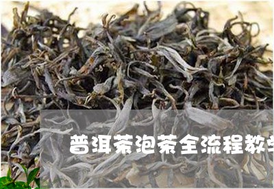 普洱茶泡茶全流程教学/2023100648360