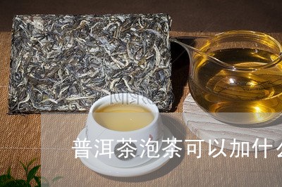 普洱茶泡茶可以加什么/2023100693825