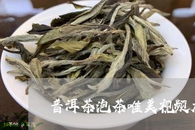 普洱茶泡茶唯美视频大全/2023102447492