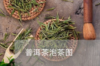 普洱茶泡茶图/2023042683188