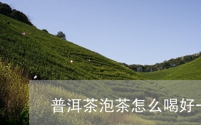 普洱茶泡茶怎么喝好一点/2023050495928