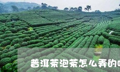 普洱茶泡茶怎么弄的喝呢/2023082703928