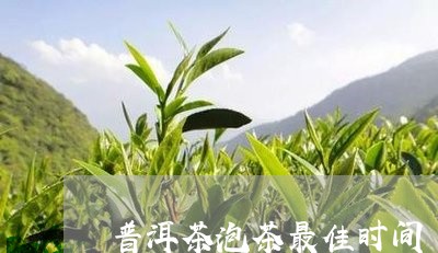 普洱茶泡茶最佳时间/2023070906169