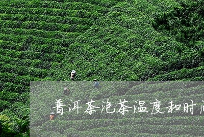 普洱茶泡茶温度和时间/2023080250291