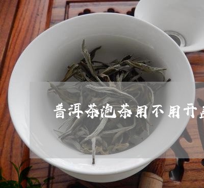 普洱茶泡茶用不用开盖/2023072165259