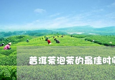 普洱茶泡茶的最佳时间和方法/2023052842614