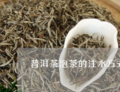 普洱茶泡茶的注水方式/2023092929481