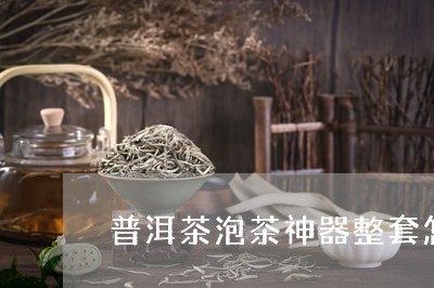 普洱茶泡茶神器整套怎么用/2023112506157