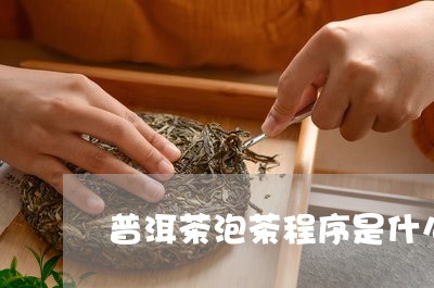 普洱茶泡茶程序是什么工艺/2023112520603