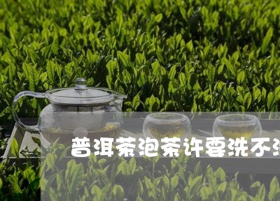 普洱茶泡茶许要洗不洗/2023062328471