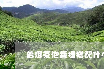 普洱茶泡菩提搭配什么好/2023050663916