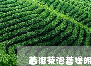 普洱茶泡菩提阴干/2023083036031