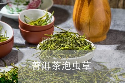 普洱茶泡虫草/2023042665807