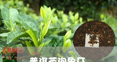 普洱茶泡象牙/2023091388469