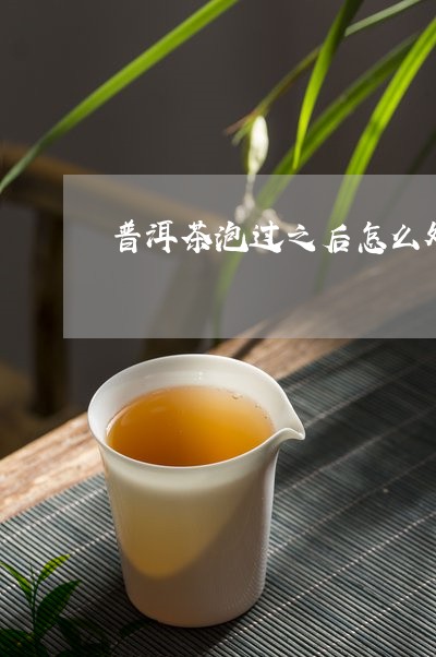 普洱茶泡过之后怎么处理/2023122036350