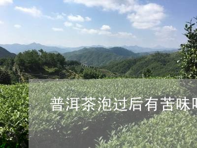 普洱茶泡过后有苦味吗/2023063002895