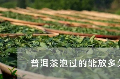 普洱茶泡过的能放多久/2023092959394