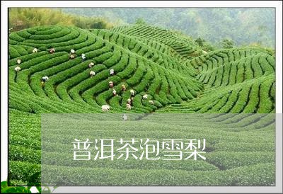 普洱茶泡雪梨/2023042761557