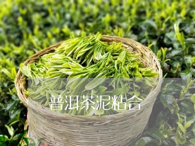 普洱茶泥粘合/2023042792851