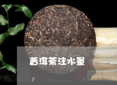 普洱茶注水量/2023042685144