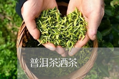 普洱茶洒茶/2023090640603