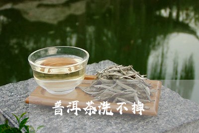 普洱茶洗不掉/2023042682338