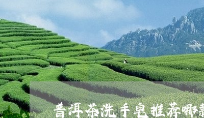 普洱茶洗手皂推荐哪款好用/2023121731792