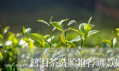 普洱茶洗脸推荐哪款好些/2023110717240